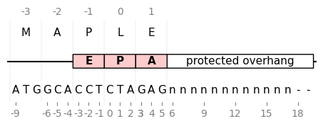 ../../_images/itp_schematic_custom.png