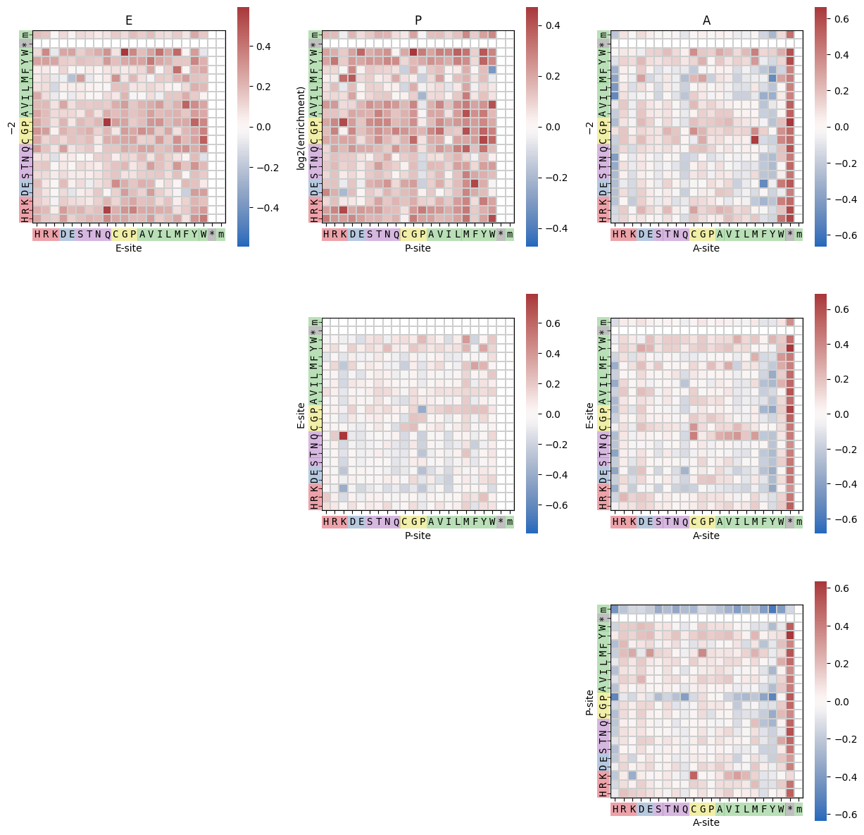 ../_images/notebooks_itpseq_tutorial_7_0.png