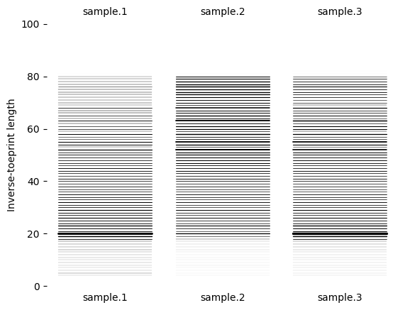 ../../_images/sample_itoeprint.png